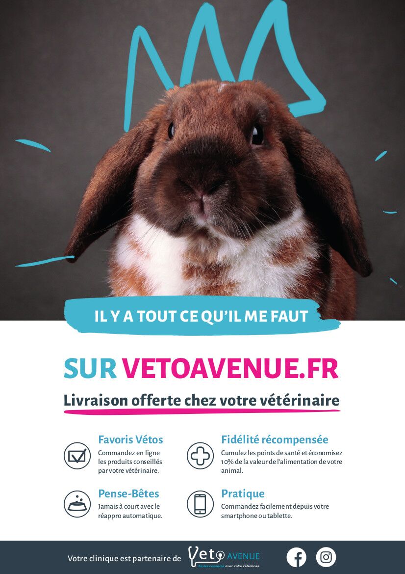 VetoAvenue la boutique en ligne de votre vétérinaire : restez connecté avec  votre vétérinaire